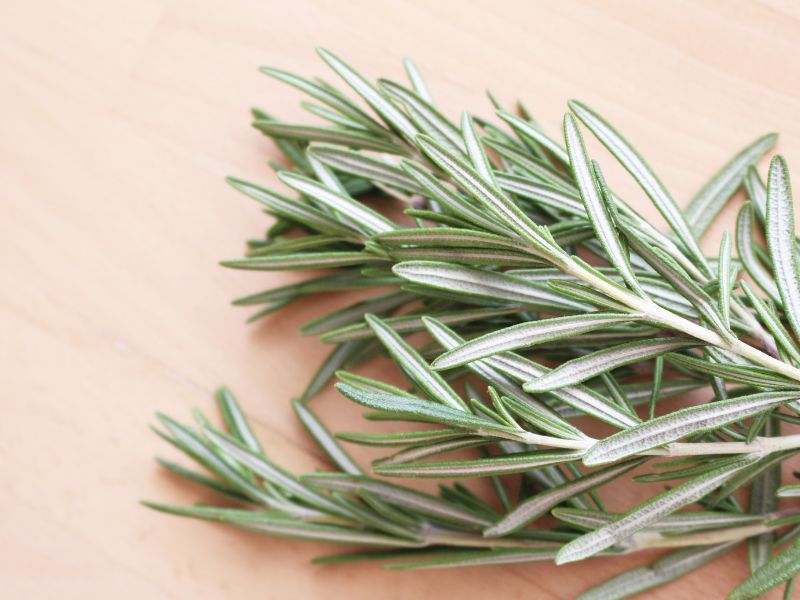 Rosemary for stress-related fatigue